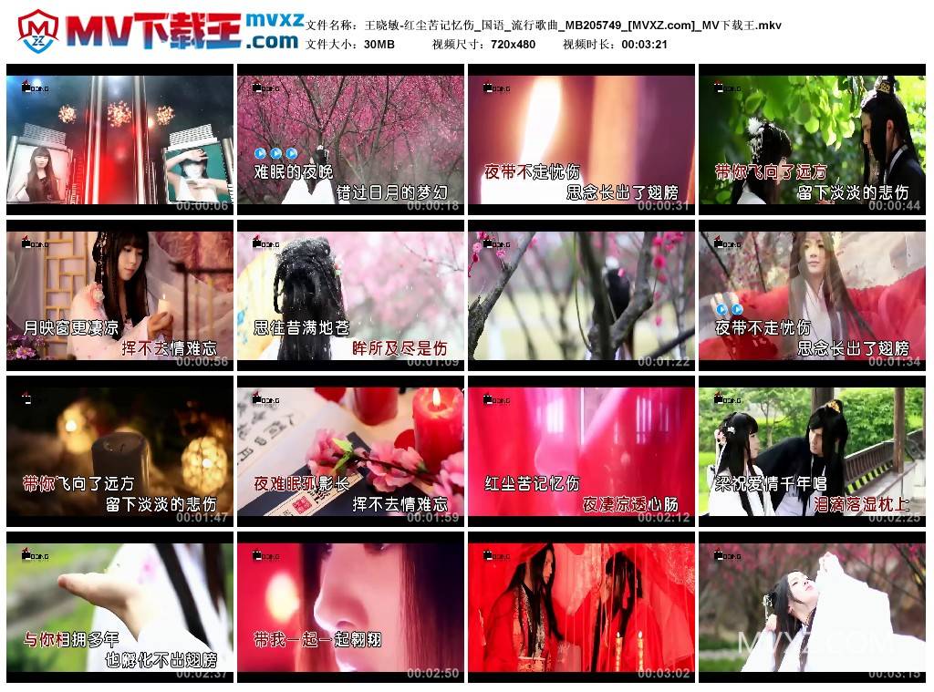 王晓敏-红尘苦记忆伤_国语_流行歌曲_MB205749